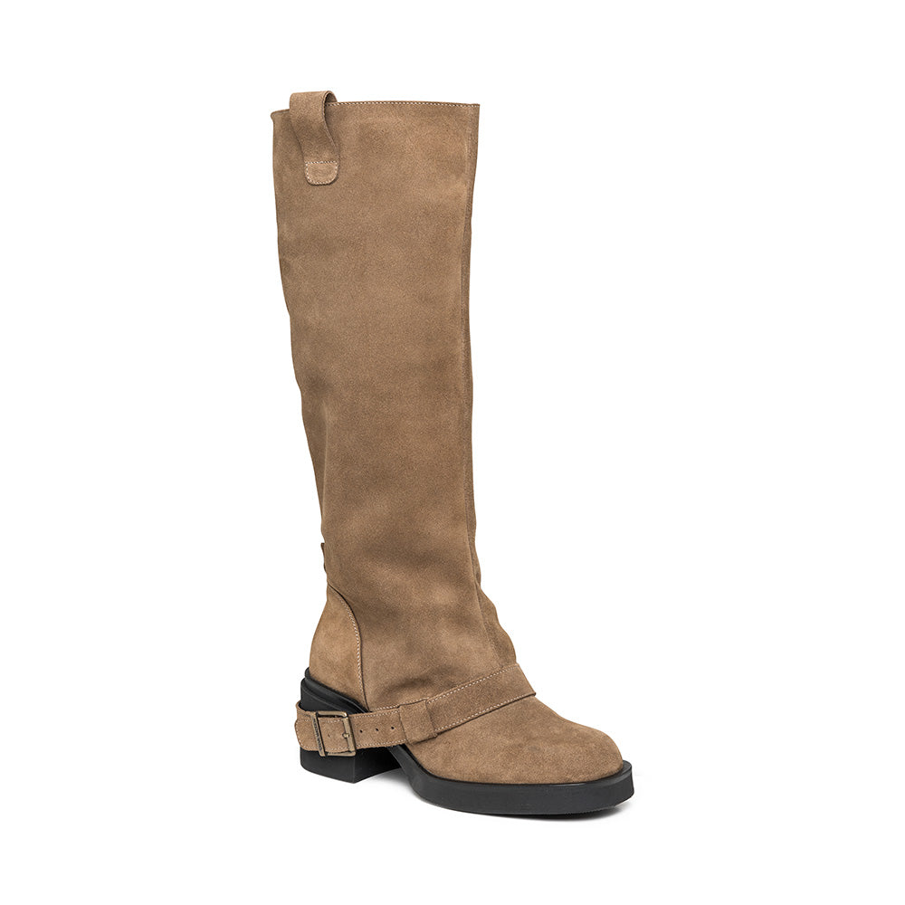 Boots Aletta | Taupe suede | Steve Madden