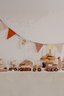 Garland birthday | Ash rose | Fabelab