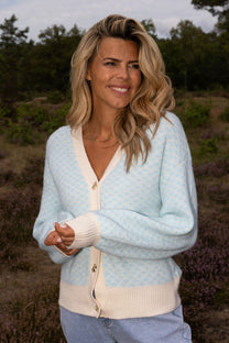 Lovefest Mr blue sky | Studio Poespas