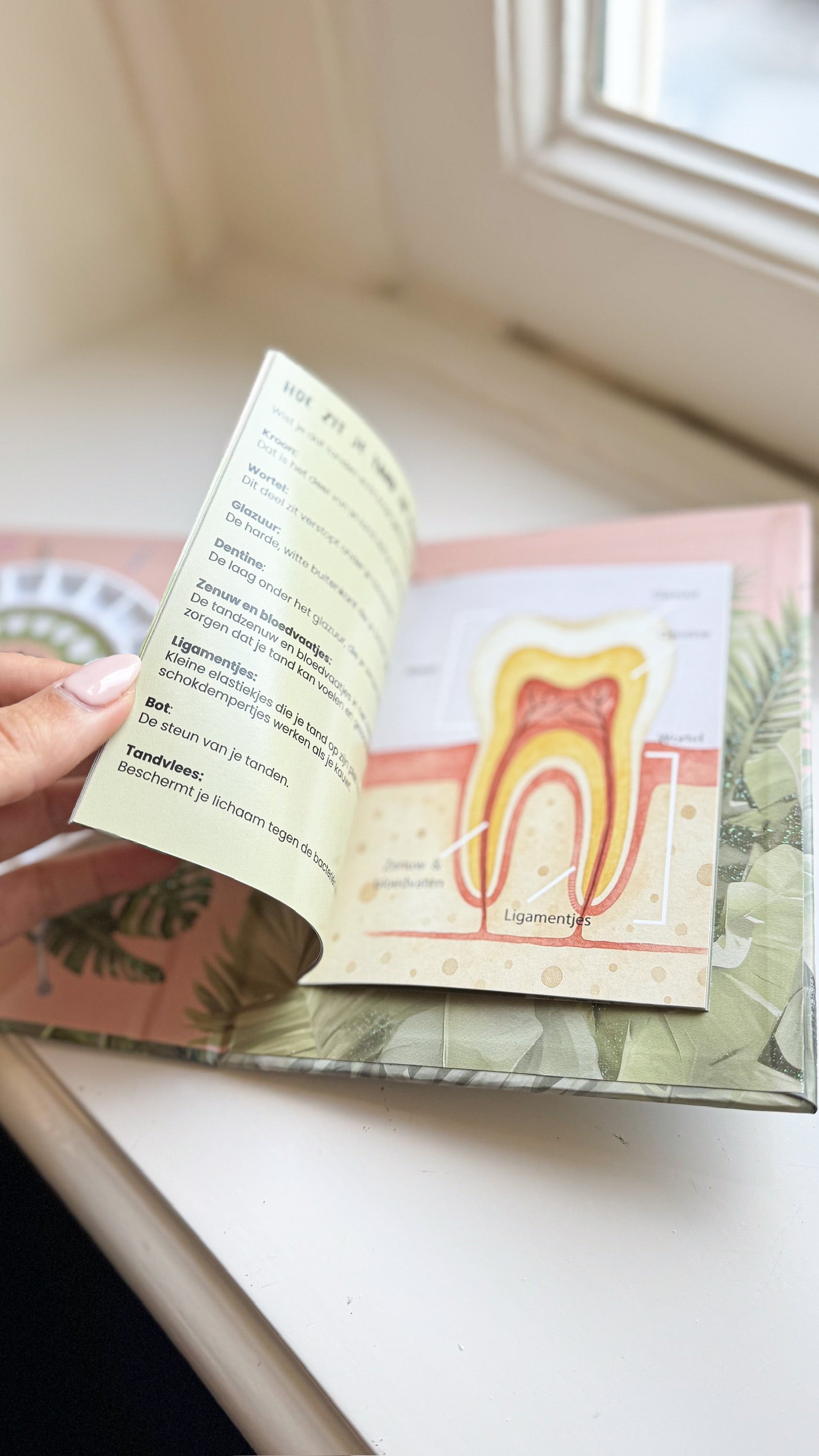 Mijn Tandenboekje | Apen | Studio Poespas