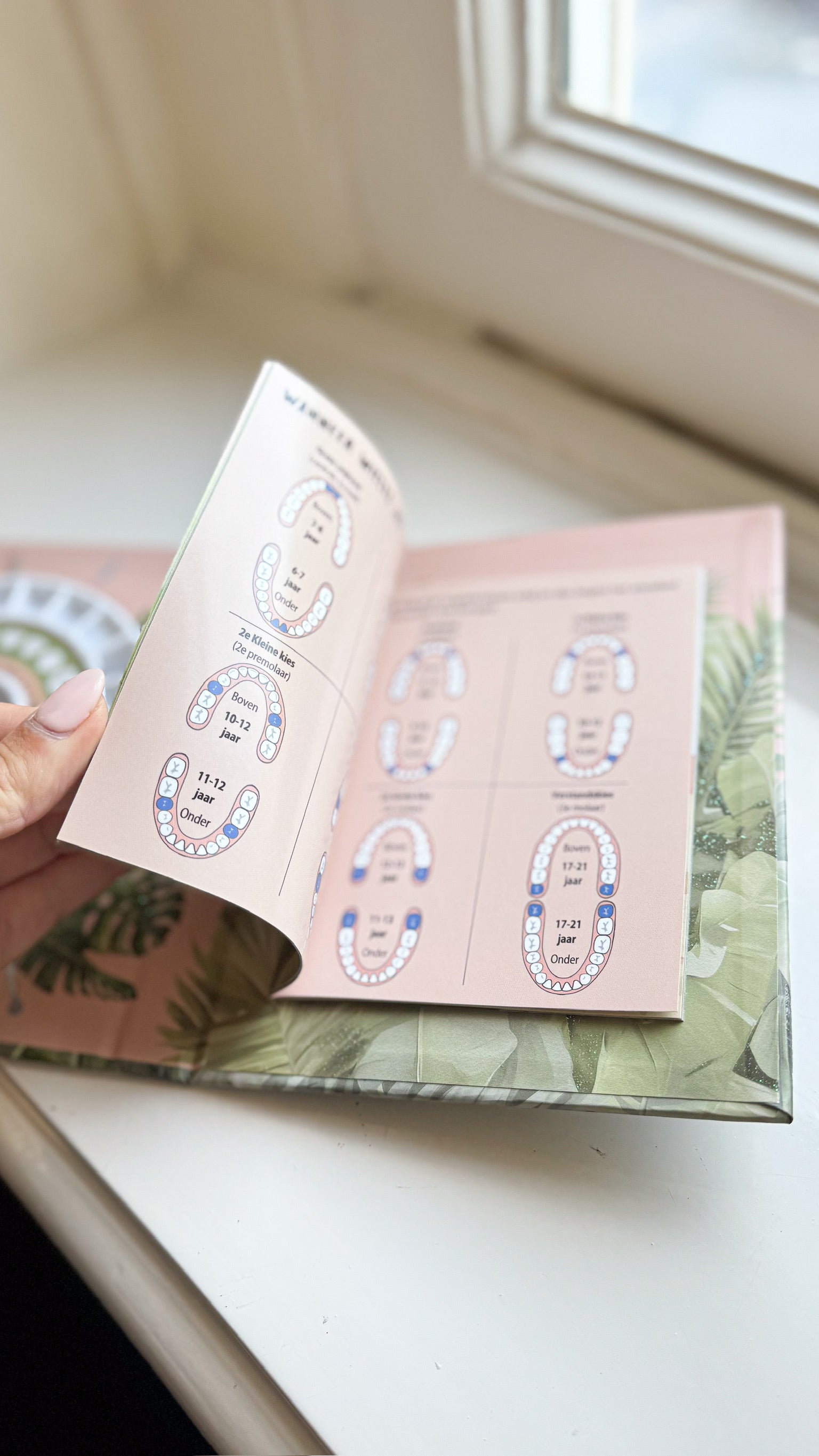 Mijn Tandenboekje | Apen | Studio Poespas