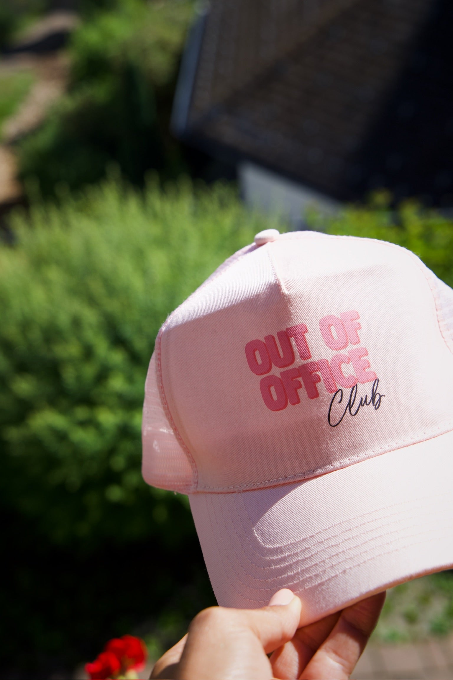 Pet Out of the Office | Studio Poespas