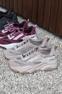 Sneaker Possession-E | Taupe/grey suede | Steve Madden