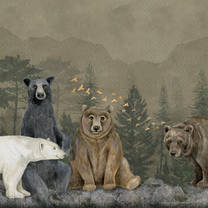 behang beren vooraanzicht