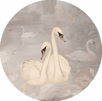 Behangcirkel Zwanenmeer