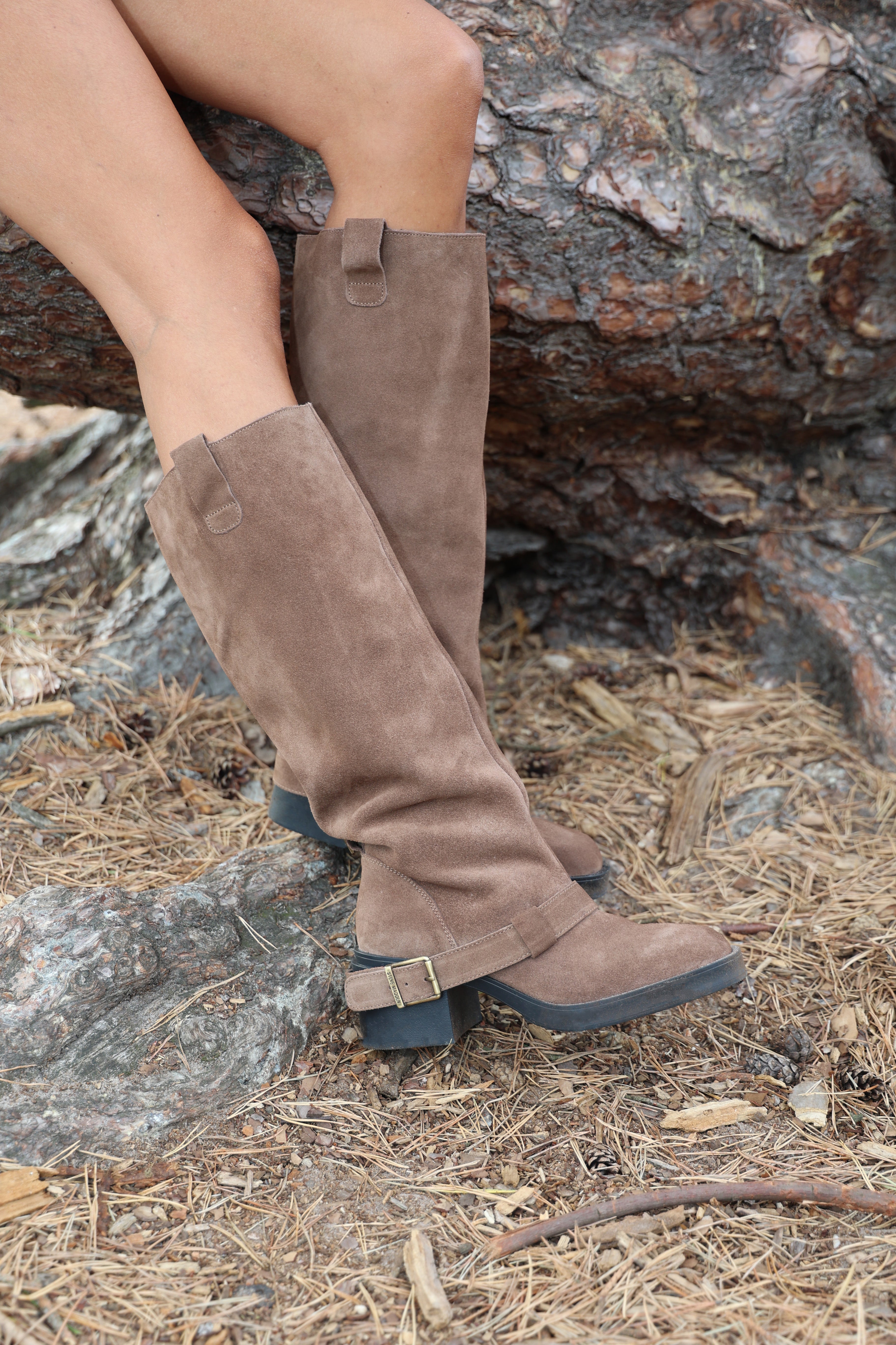 Boots Aletta | Taupe suede | Steve Madden