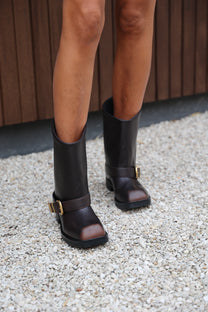 Booties Climaxx | Distre | Steve Madden