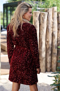 Feestelijke rode pailletten jurk met overslag halslijn en lange mouwen