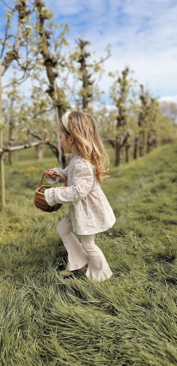 Flared pants | Rib cream | Navy Natural