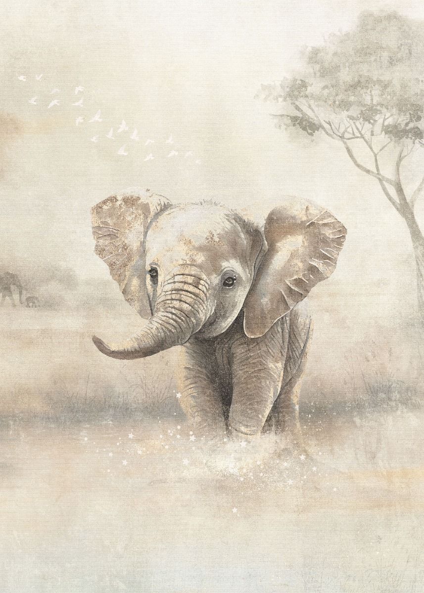 Elephant Wallpaper | Circle of Life Collection