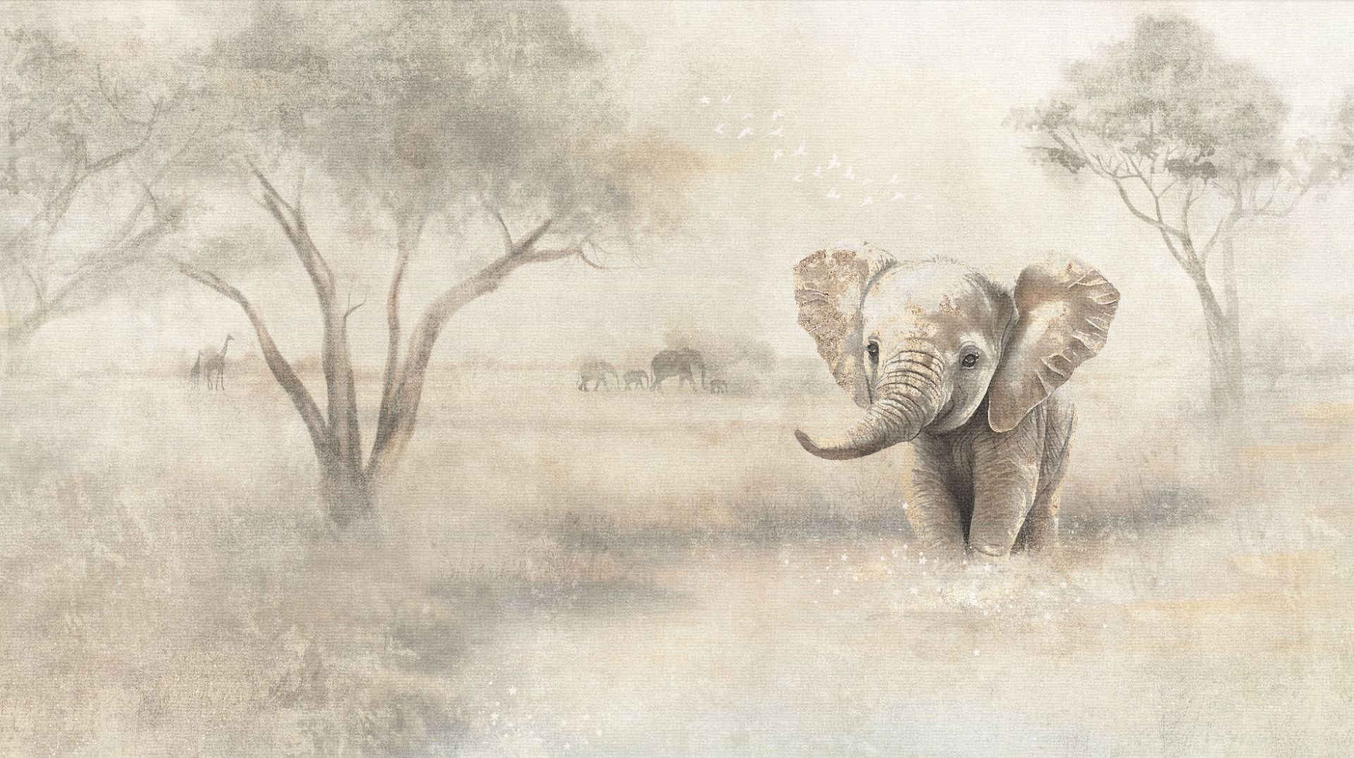 Elephant Wallpaper | Circle of Life Collection