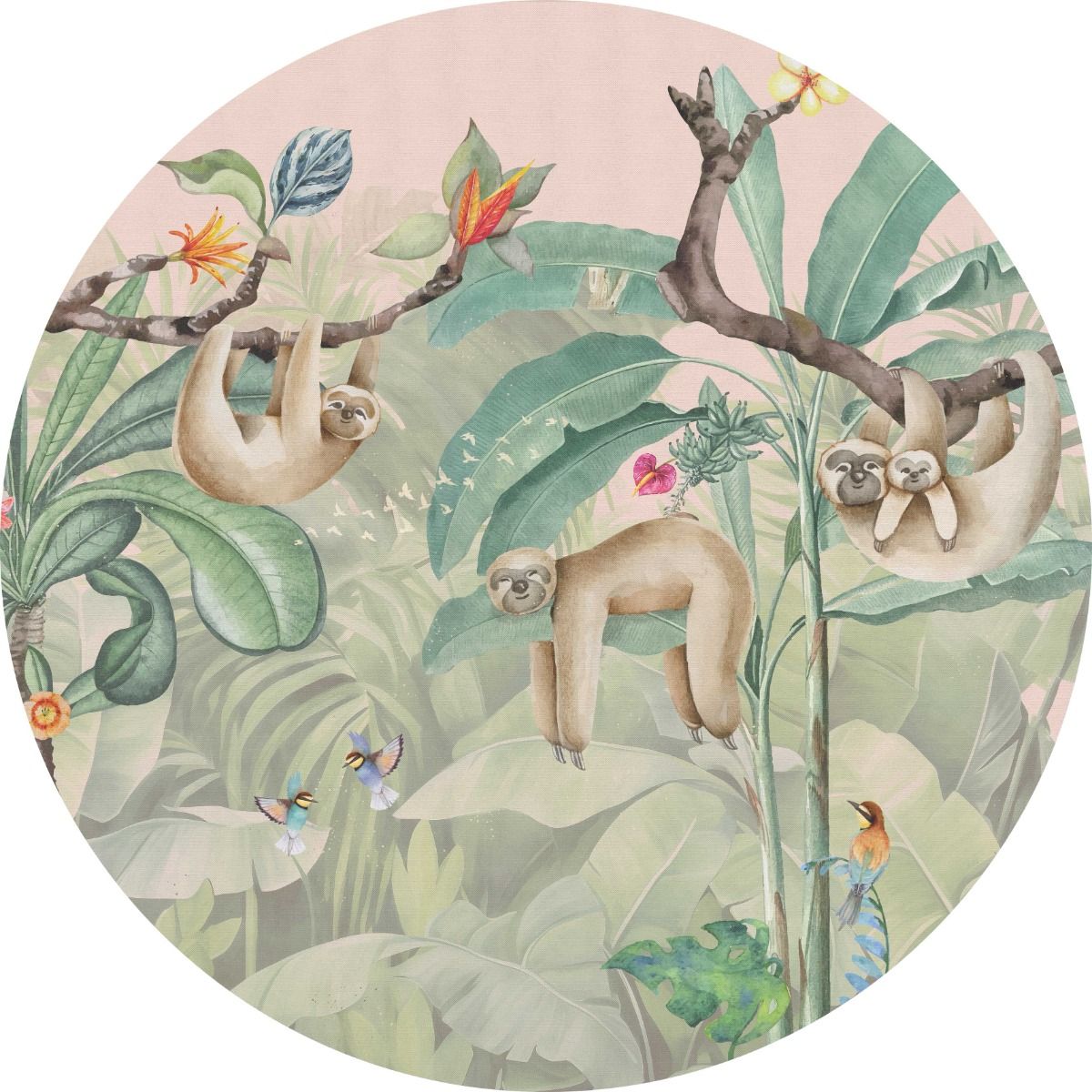 Wallpaper circle Lazy Sloth | Jungle Collection | ⌀ 145 cm