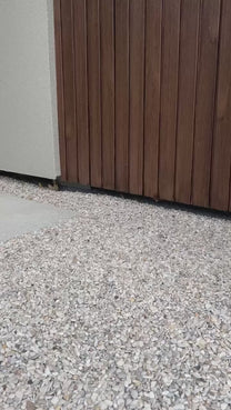 Sneaker Possession-E | Taupe/grey suede | Steve Madden