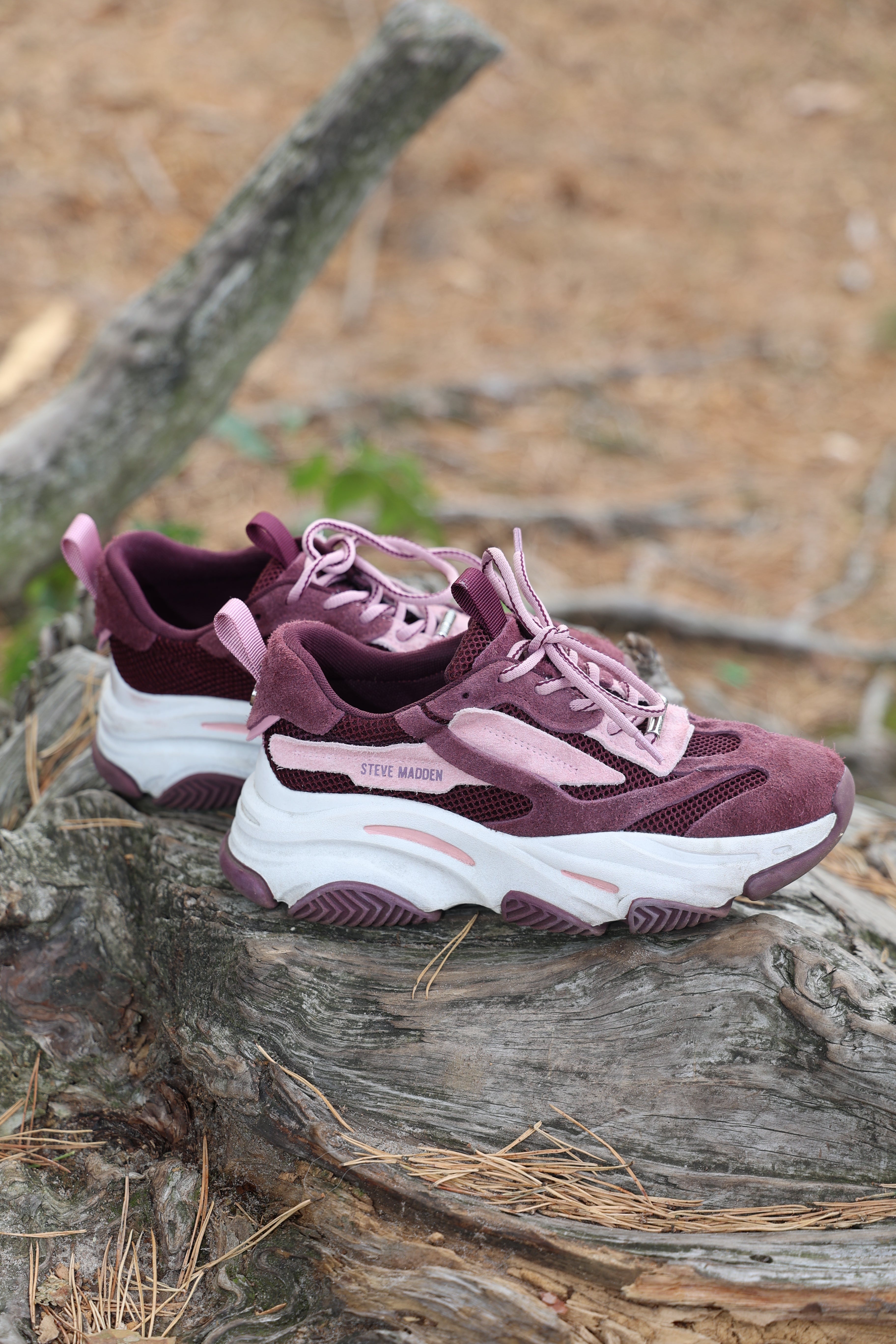 Sneaker Possession-E | Cherry suede | Steve Madden