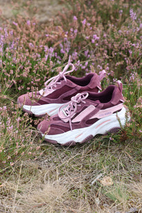 Sneaker Possession-E | Cherry suede | Steve Madden