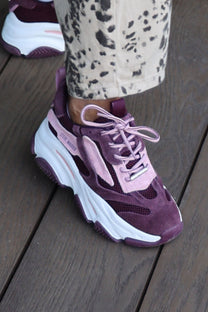 Sneaker Possession-E | Cherry suede | Steve Madden