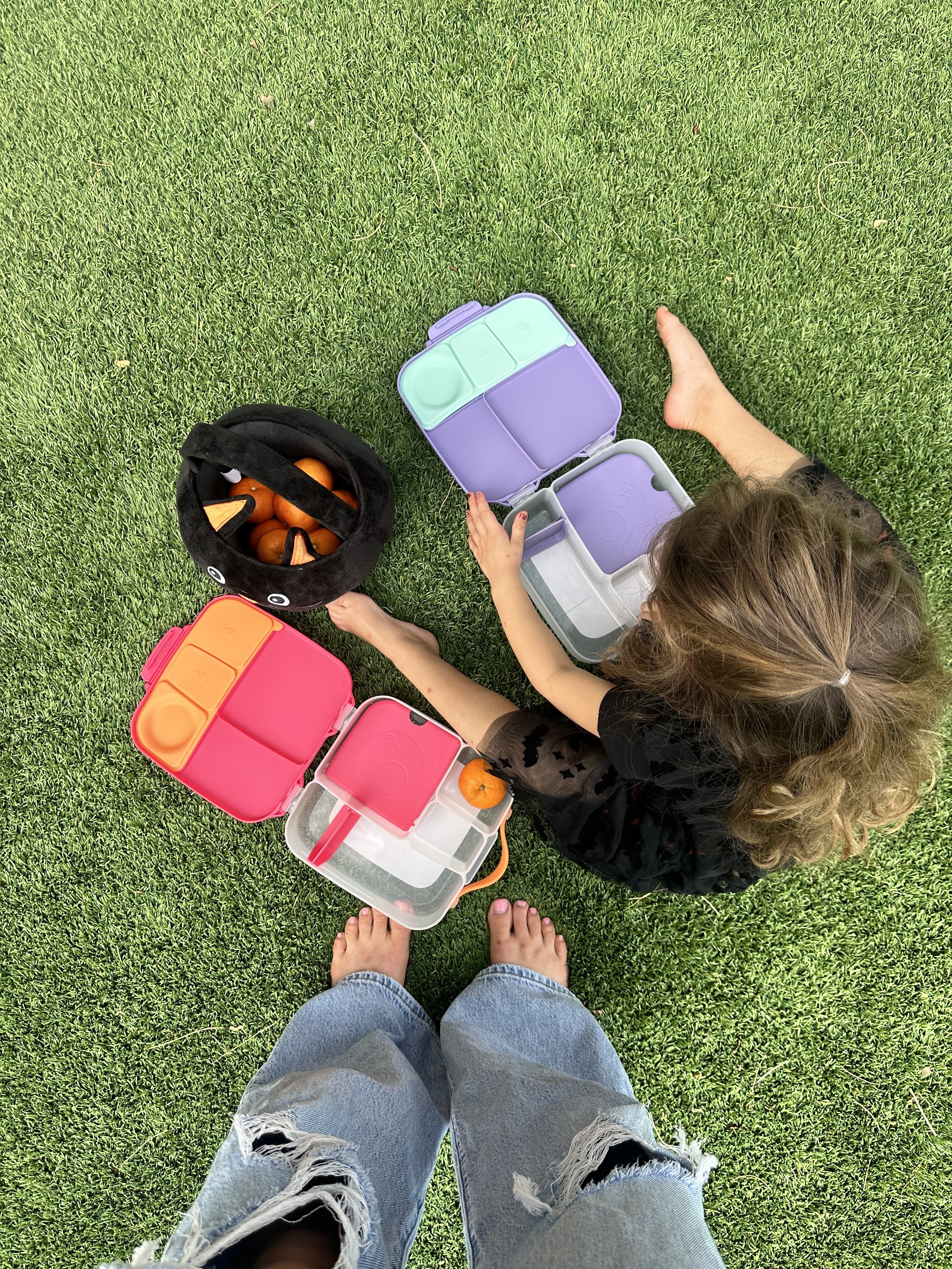 Lunchbox | Lilac Pop | B.box