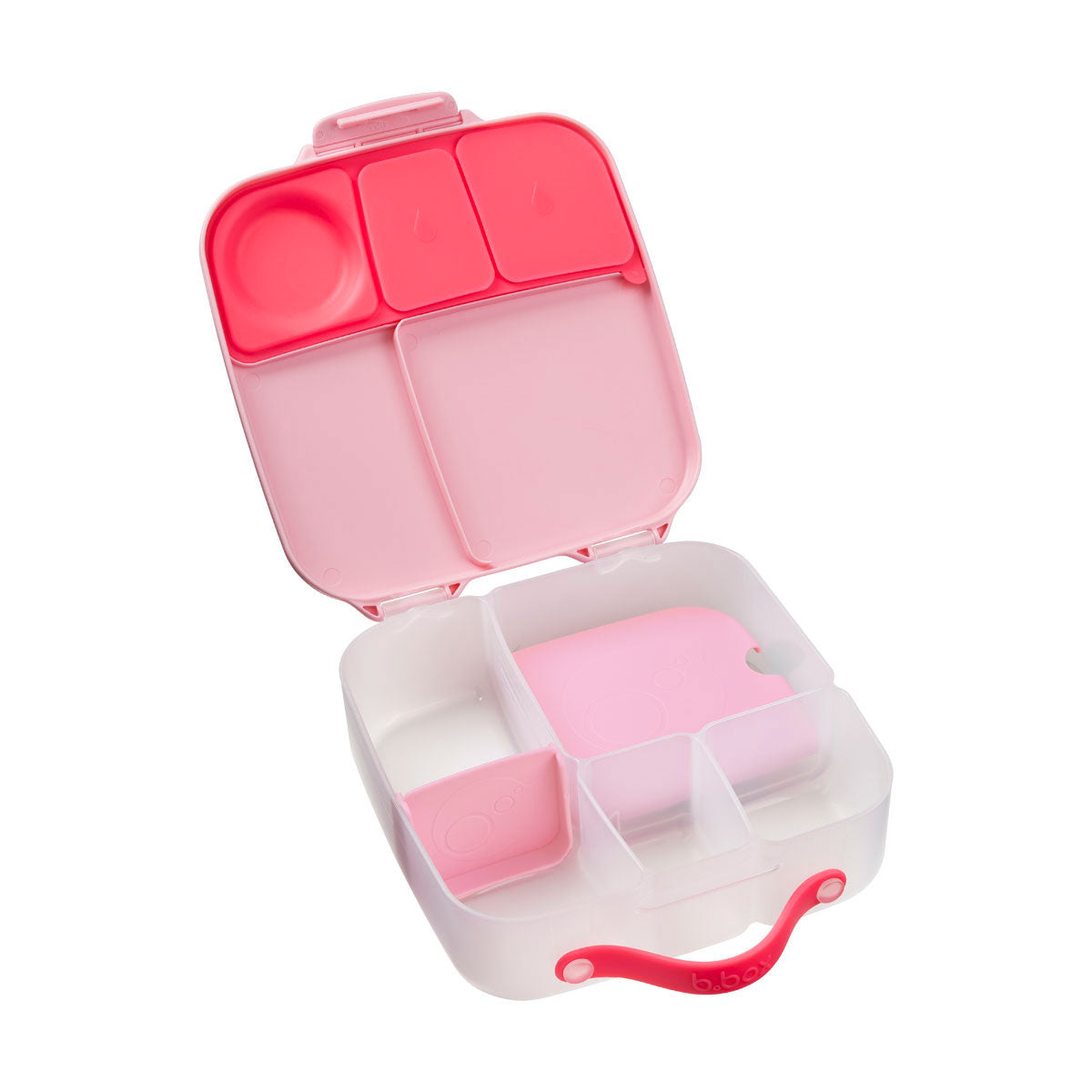 Lunchbox | Flamingo Fizz | B.box
