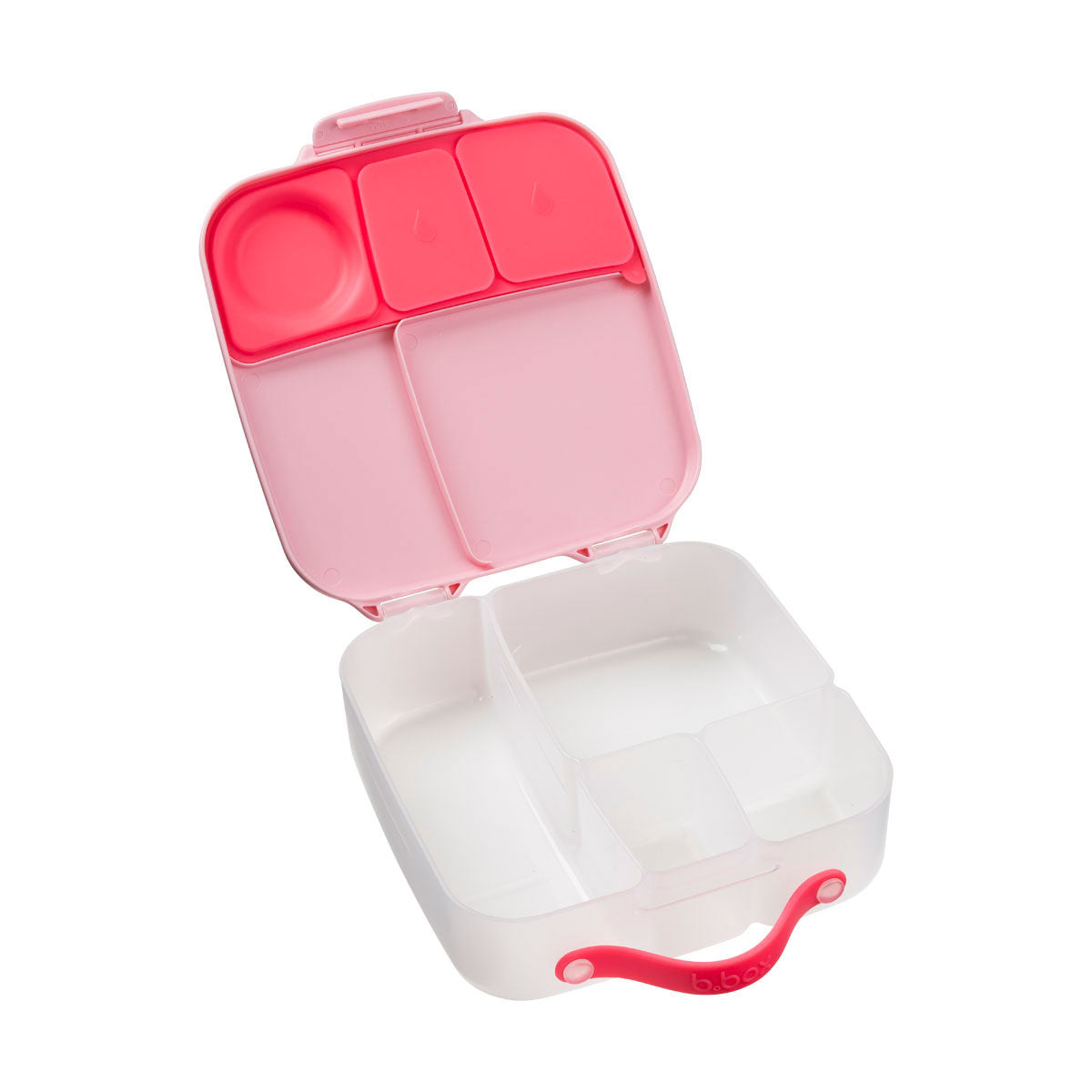 Lunchbox | Flamingo Fizz | B.box