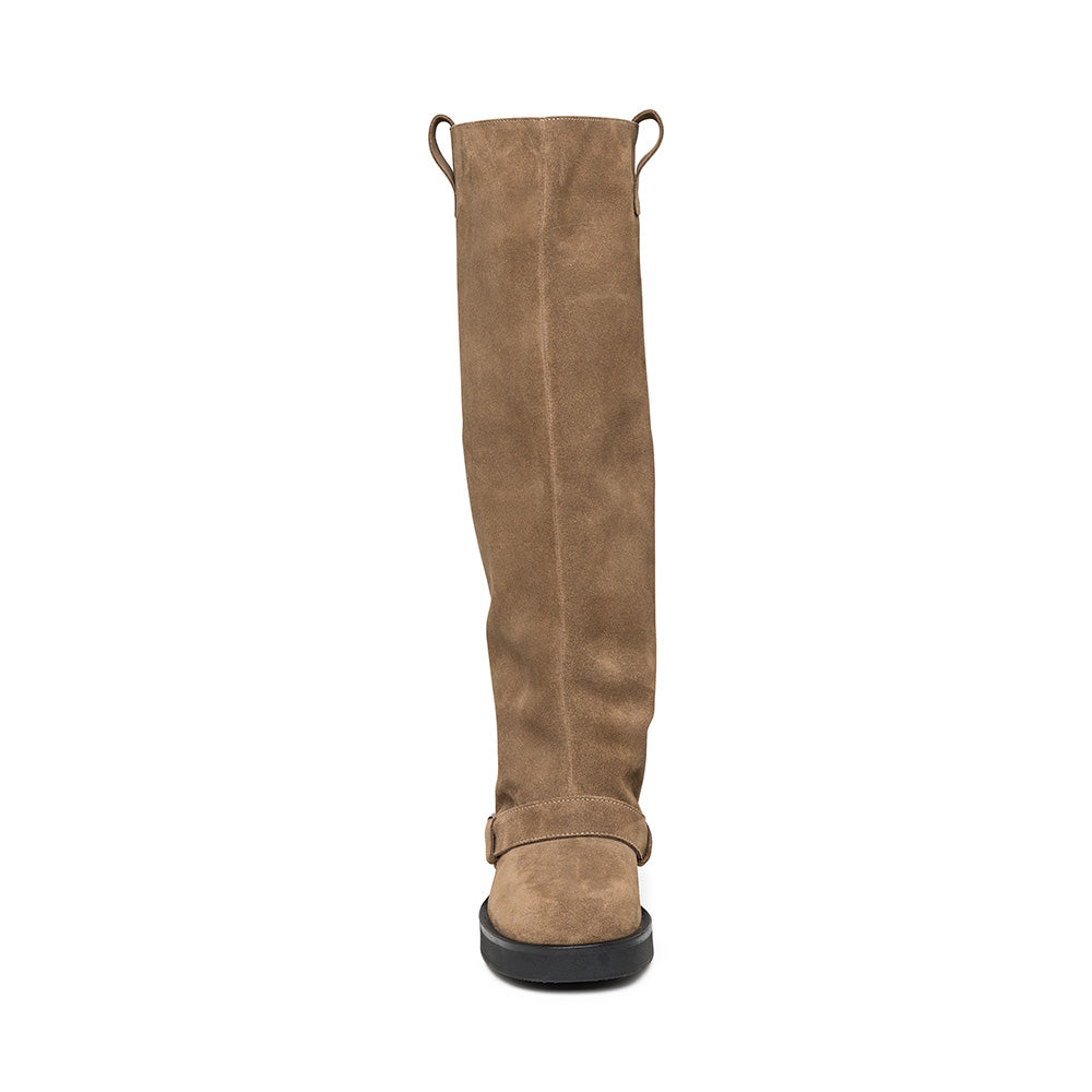 Boots Aletta | Taupe suede | Steve Madden