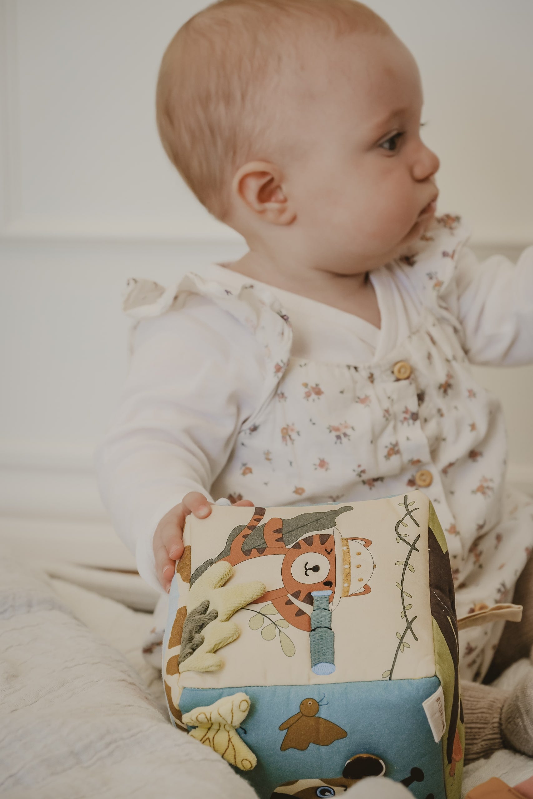 Fabric cube safari | Seedpearl | Fabelab