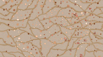 Behang Blush Dots | Clay
