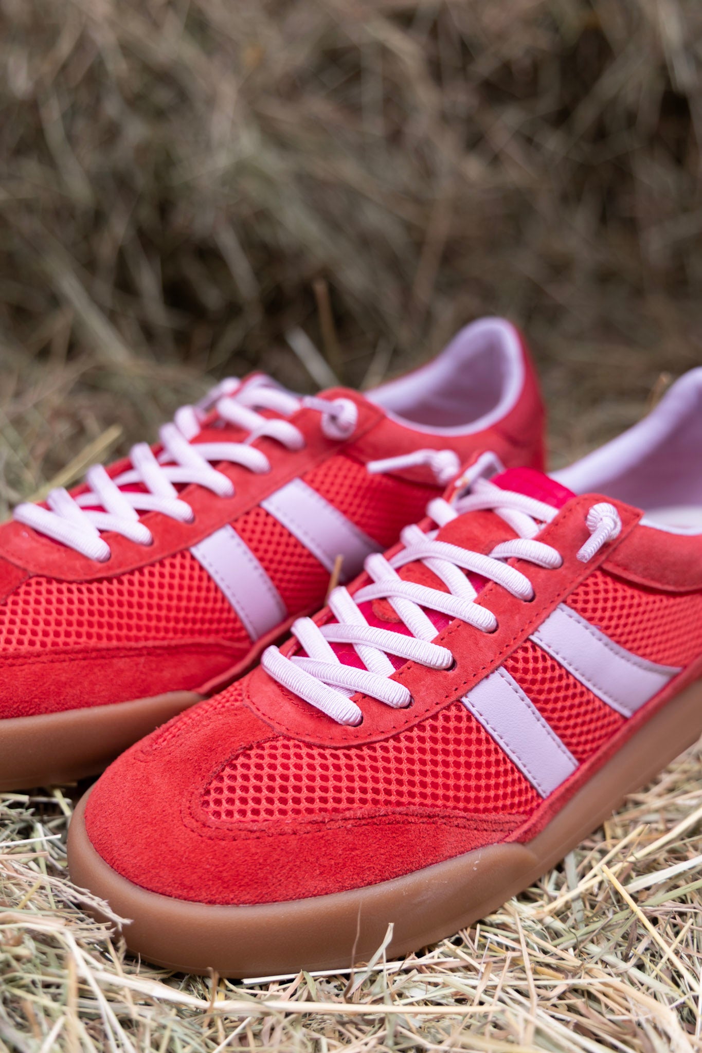 Sneaker Verdict | Red multi | Steve Madden
