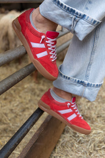 Sneaker Verdict | Red multi | Steve Madden