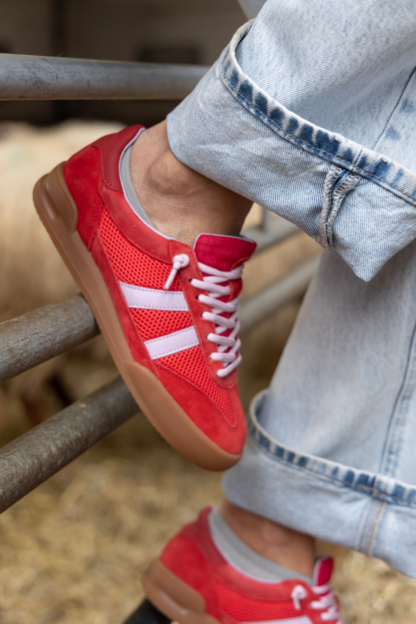 Sneaker-Verdict-_-Red-multi-_-Steve-Madden-16.jpg