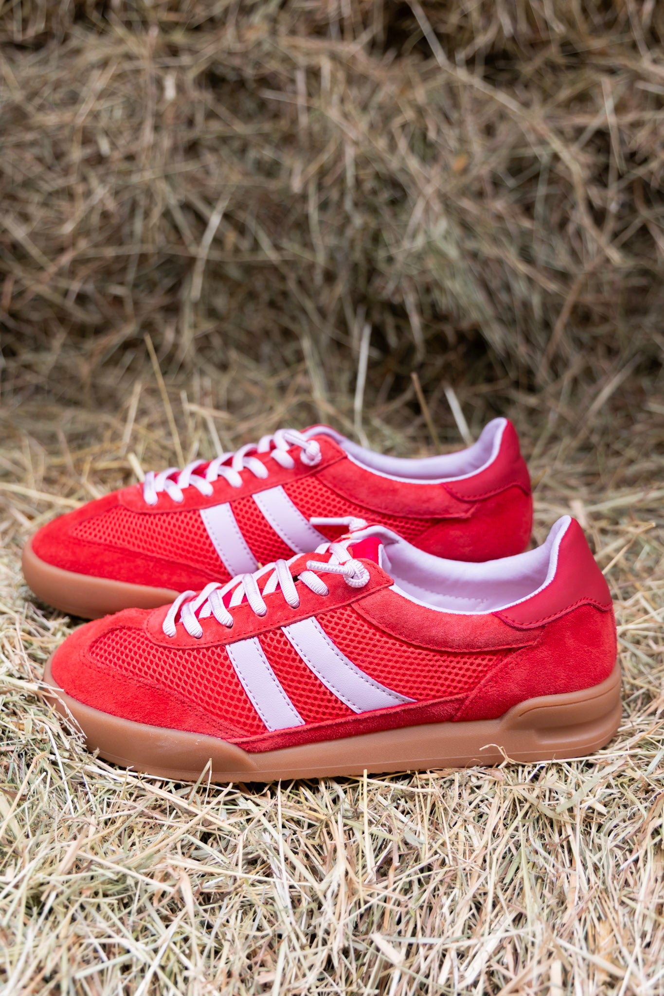 Sneaker Verdict | Red multi | Steve Madden