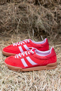 Sneaker Verdict | Red multi | Steve Madden