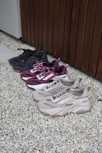 Sneaker Possession-E | Taupe/grey suede | Steve Madden