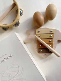 Muziekset Lemon | Konges Slojd