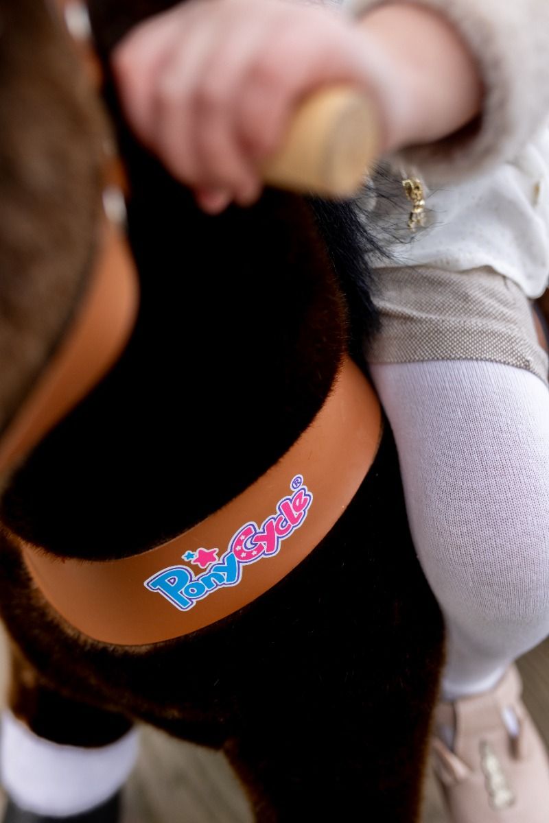 PonyCycle Muck