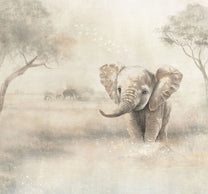 SALE | Behang Olifant | Circle of Life Collection | 300x280cm