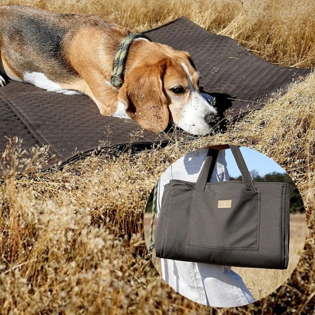 Honden travelbag Nobo | Anthracite | Palopa