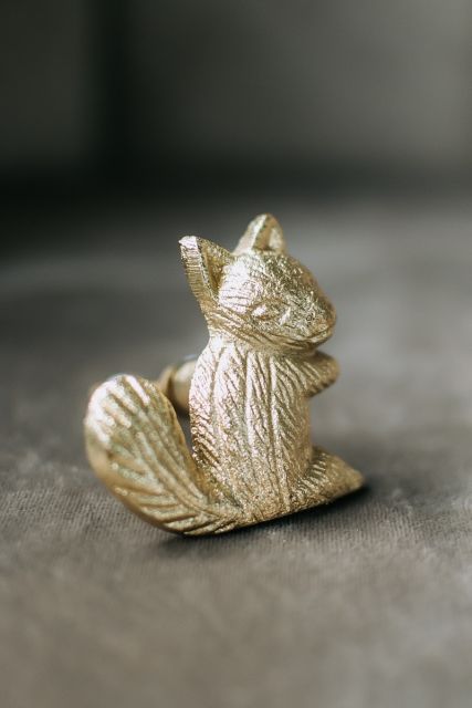 Kastknop eekhoorn | Goud